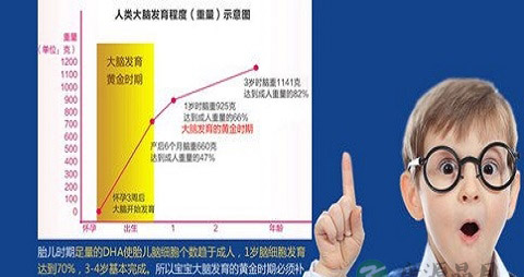 dha什么时候吃最好