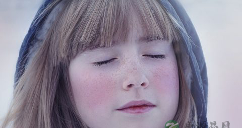 分阶段营养调理的孕妇食谱