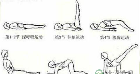 产后形体恢复操图解