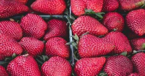 怀孕早期注意事项