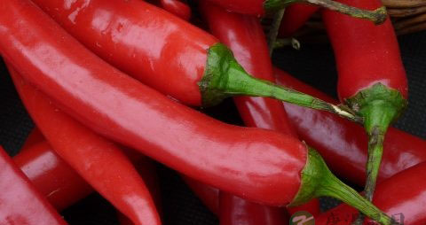 孕妇可以吃木瓜吗