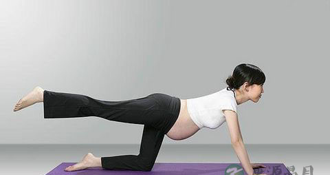 孕妇运动有什么禁忌