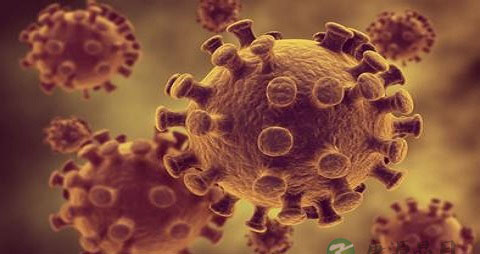 药物流产后多久可以同房