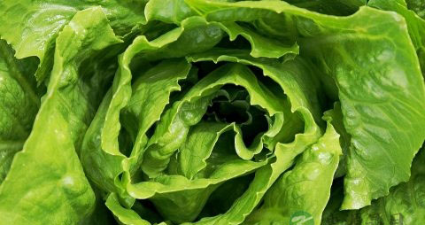 孕早期没有食欲吃些什么好