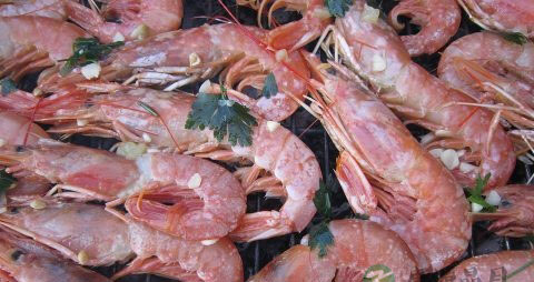 36岁还能怀孕吗 36岁还能怀孕吗