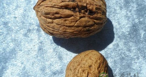 孕妇能吃泡椒鸡爪吗