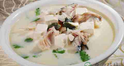 夏天孕妇喝什么汤