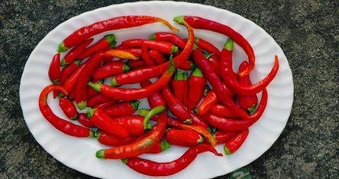 孕妇可以吃胡椒粉吗