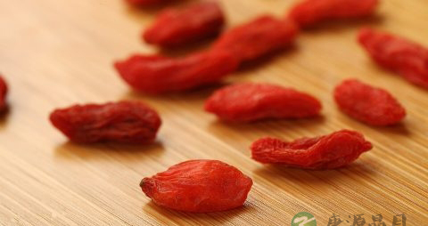 孕妇能吃枸杞子吗