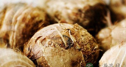 孕妇可以吃芋头吗