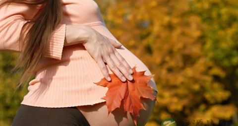 孕早期补充什么预防畸形 孕早期补充什么预防畸形