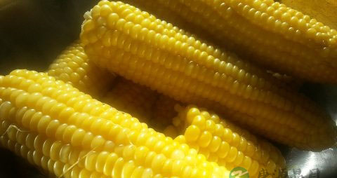 孕早期保胎可以吃玉米吗 孕早期保胎可以吃玉米吗