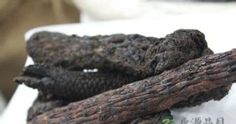 怀孕后痔疮严重怎么办