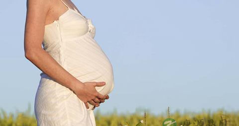 孕妇能喝枸杞茶吗