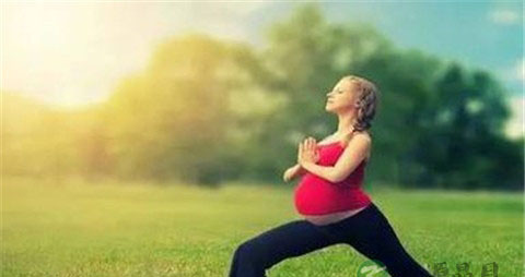 孕早期腿酸痛什么原因 孕早期腿酸痛什么原因