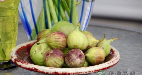 孕妇能吃无花果吗