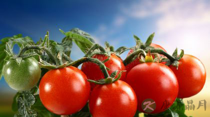 孕妇不需防晒霜 吃对食物更防晒