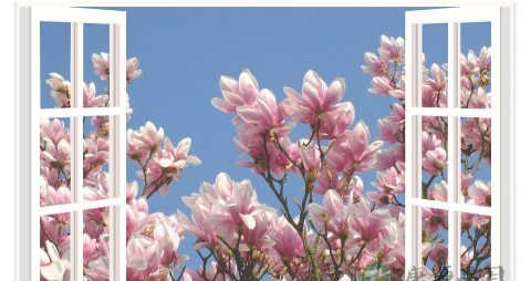 孕早期10件事情最好不要做