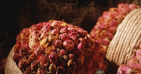 孕早期能吃荔枝吗