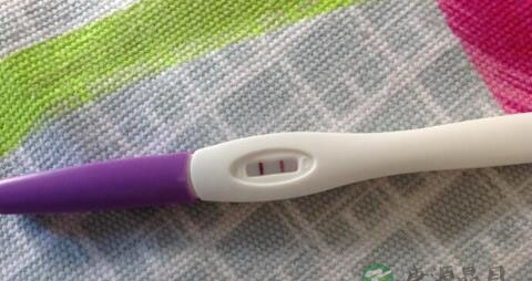 排卵后几天能测出怀孕