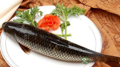 孕期吃鱼宝宝聪明 孕妇吃什么鱼好