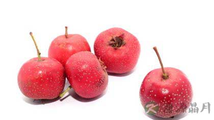 孕妇饮食：怀孕哪些东西不能吃