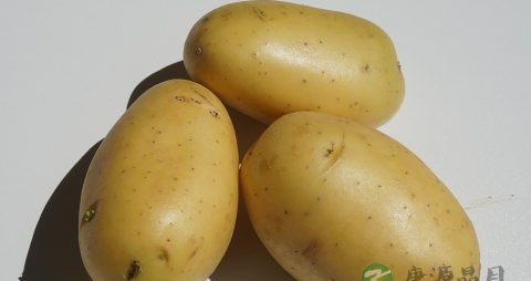 孕期血糖高可以吃什么水果 孕期血糖高可以吃什么水果