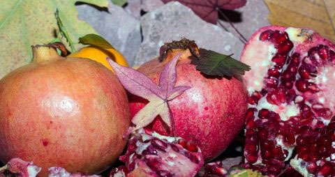 怀孕能吃石榴吗