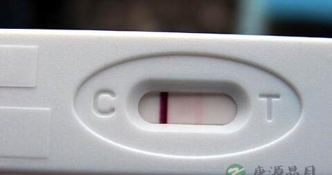 排卵后几天能测出怀孕