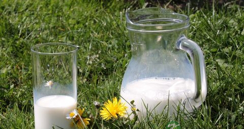 哪种孕妇奶粉最好