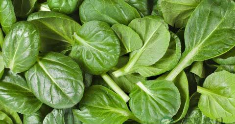 孕早期保胎可以吃玉米吗 孕早期保胎可以吃玉米吗