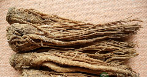 哺乳期能吃当归吗