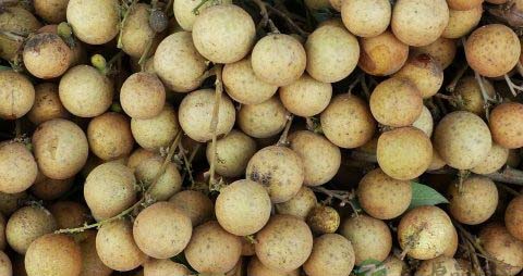 怀孕50天吃不下饭怎么办