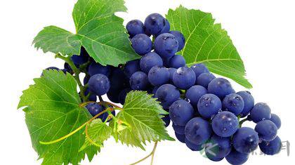 孕期要补铁 孕妇补铁的食物有哪些