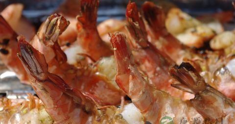 怀孕后的注意事项