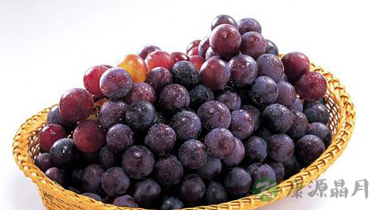 十款孕妇补铁补血的食物