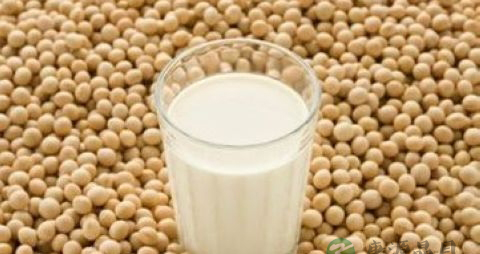 孕妇可以吃乳鸽炖汤吗