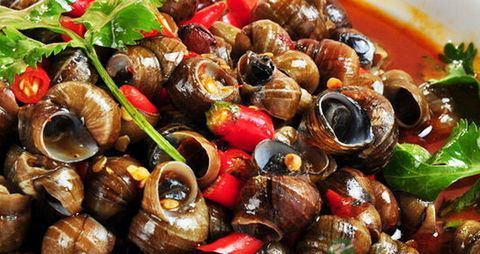 孕妇可以吃田螺吗