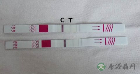 验孕试纸两道杠什么意思