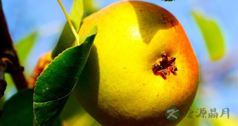 孕早期流产的症状