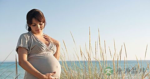 孕早期怎么知道胎儿发育的好不好