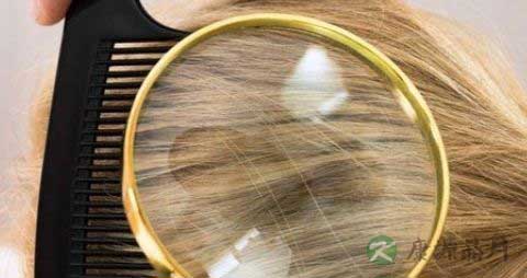孕妇吃什么补铁效果好