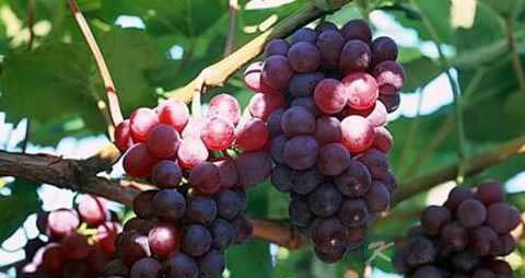 怀孕后夫妻的睡姿怎么样好