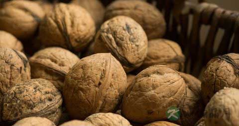 孕妇白带常规检查怎么做 孕妇白带常规检查怎么做