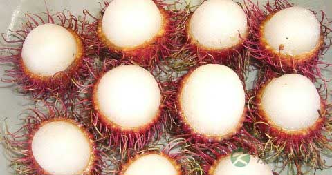 孕妇能吃荔枝吗