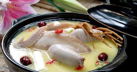 怀孕可以吃黄芪炖鸡吗