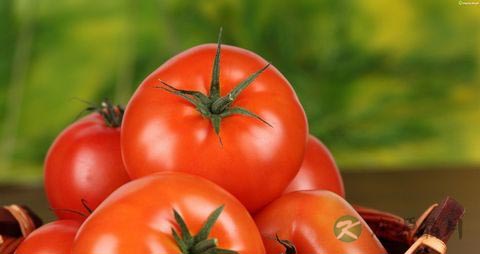 夏天产妇吃什么菜好