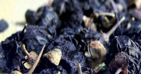 孕妇能不能吃黑枸杞