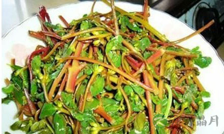 9大蔬菜孕妇千万不要吃