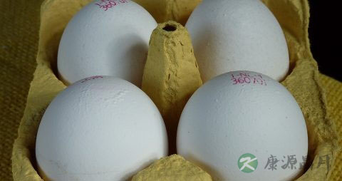 孕妇能吃咸鸭蛋吗